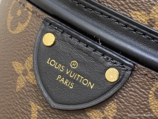 Official oldcobbler VUITTON Bag-14*20.5*14CM LOUIS Canoe New 0816